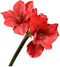 Silk-ka Kunstbloem-Zijde Amaryllis Steel Rood 73 cm
