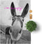 Keukendoek HappyFriday Blanc Farm Multicolour 70 x 50 cm (2 Stuks)