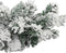 vidaXL - Kerstslinger - met - sneeuw - 5 - m - PVC - groen