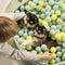 Beeztees Puppy Funchie Ballenbad - Puppy Speelgoed - 80x80x20 cm - Grijs