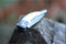 Cultra Zakmes - Vouwmes - Handgemaakt - RVS - Big Horn
