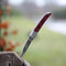 Cultra Zakmes - Vouwmes - Handgemaakt - RVS - Little Red