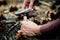 Cultra Zakmes - Vouwmes - Handgemaakt - RVS - The Claw