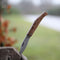 Cultra Zakmes - Vouwmes - Handgemaakt - RVS - Unusual