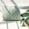 Cushion Refined Brush Green / 100% linen