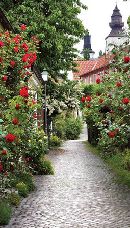 Customize-it - Alley Roses 70x130cm Tuinschilderij