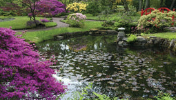 Customize-it - Aziatische tuin 130x70cm Tuinschilderij