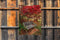 Customize-it - Bankje 50x70cm Tuinschilderij