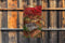 Customize-it - Bankje 70x130cm Tuinschilderij