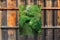 Customize-it - Beekje 50x70cm Tuinschilderij