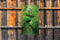 Customize-it - Beekje 70x130cm Tuinschilderij