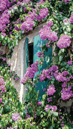 Customize-it - Bloemen luiken 70x130cm Tuinschilderij