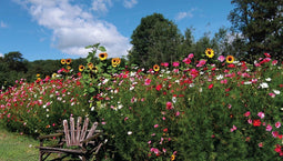 Customize-it - Bloemen stoel 130x70cm Tuinschilderij
