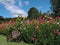 Customize-it - Bloemen stoel 70x50cm Tuinschilderij