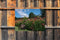 Customize-it - Bloemen stoel 70x50cm Tuinschilderij
