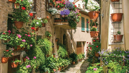 Customize-it - Bloemen straat 130x70cm Tuinschilderij