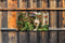 Customize-it - Bloemen straat 130x70cm Tuinschilderij