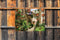 Customize-it - Bloemen straat 70x50cm Tuinschilderij