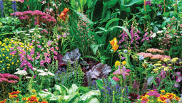Customize-it - Bloemenmix 130x70cm Tuinschilderij