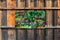 Customize-it - Bloemenmix 130x70cm Tuinschilderij