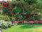 Customize-it - Bloementuin 70x50cm Tuinschilderij