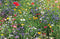 Customize-it - Bloemenveld 140x90cm Tuindoek