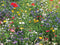 Customize-it - Bloemenveld 70x50cm Tuinschilderij