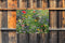 Customize-it - Bloemenveld 70x50cm Tuinschilderij