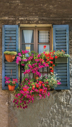 Customize-it - Blue shutters 70x130cm Tuinschilderij