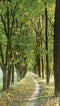 Customize-it - Bomen pad 70x130cm Tuinschilderij