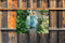 Customize-it - Boog deur 70x50cm Tuinschilderij