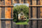 Customize-it - Boog kruik 50x70cm Tuinschilderij