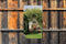 Customize-it - Boog kruik 70x130cm Tuinschilderij