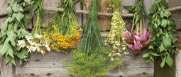 Customize-it - Bosjes kruiden 130x50cm Tuinschilderij