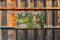 Customize-it - Bosjes kruiden 130x70cm Tuinschilderij
