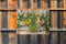 Customize-it - Bosjes kruiden 70x50cm Tuinschilderij