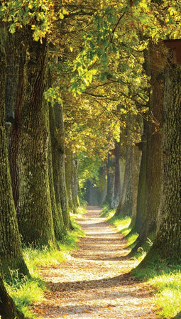 Customize-it - Bospad 70x130cm Tuinschilderij
