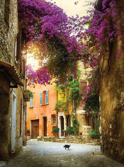 Customize-it - Bougainville poes 50x70cm Tuinschilderij