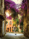 Customize-it - Bougainville poes 50x70cm Tuinschilderij