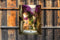 Customize-it - Bougainville poes 50x70cm Tuinschilderij