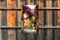 Customize-it - Bougainville poes 70x130cm Tuinschilderij