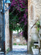 Customize-it - Bougainville steeg 50x70cm Tuinschilderij