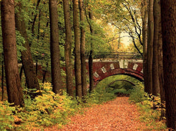 Customize-it - Brug in bos 70x50cm Tuinschilderij