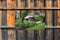 Customize-it - Cottage UK 140x90cm Tuindoek
