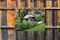 Customize-it - Cottage UK 70x50cm Tuinschilderij