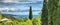Customize-it - Cypressen 130x50cm Tuinschilderij