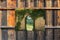 Customize-it - Doorkijk boog 70x50cm Tuinschilderij