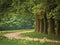 Customize-it - Drenpad 70x50cm Tuinschilderij