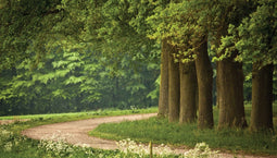 Customize-it - Drents pad 130x70cm Tuinschilderij