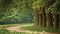 Customize-it - Drents pad 130x70cm Tuinschilderij